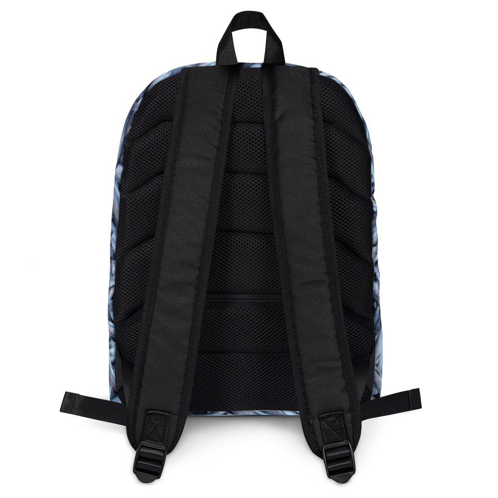 Hooligan Backpack