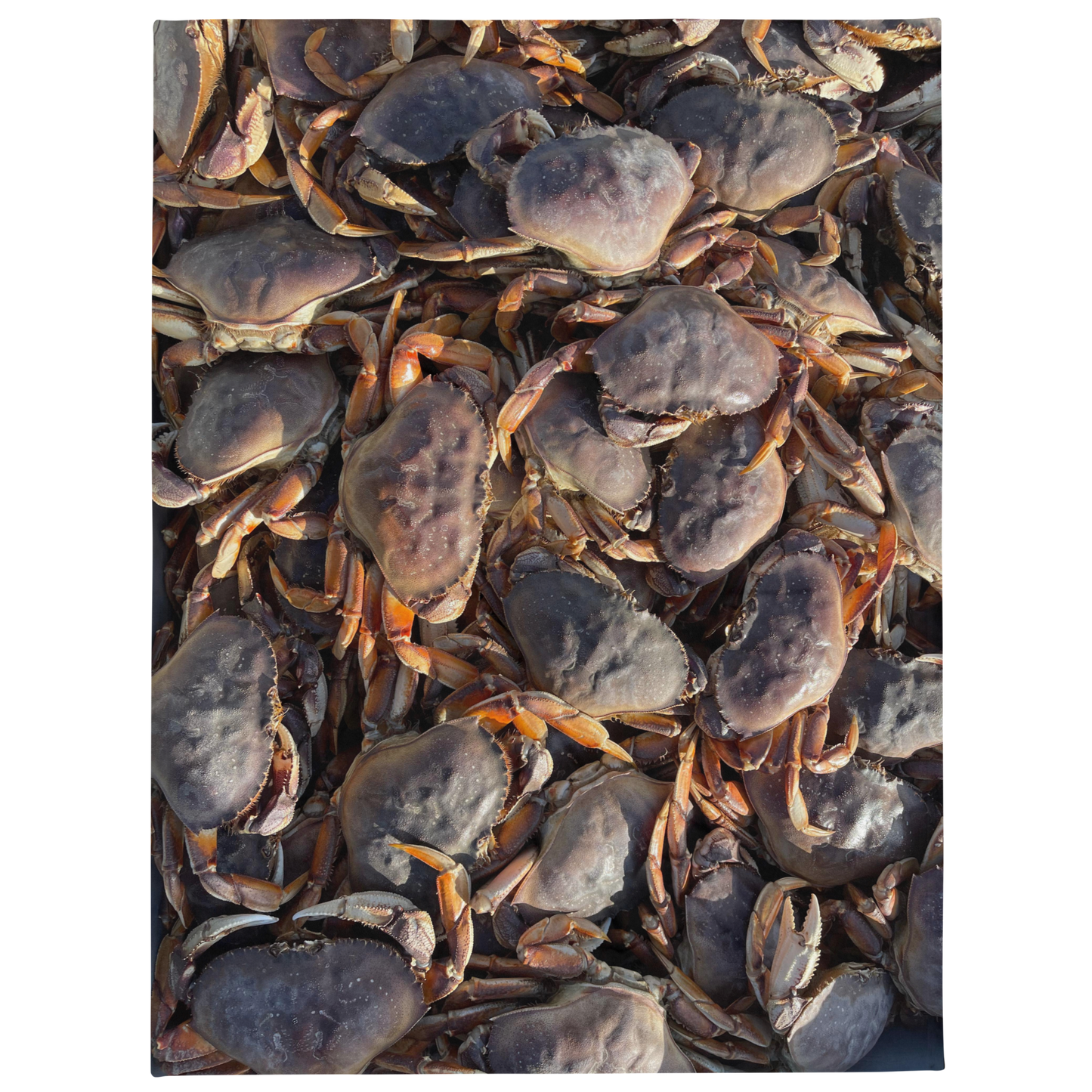 Dungeness Crab Throw Blanket